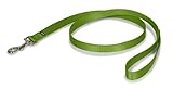 PetSafe Leash, 3/4
