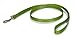 PetSafe Leash, 3/4