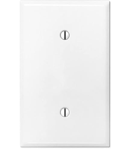 Lot De 2 Couvercles De Prise Double Duplex, Plaques D'interrupteur