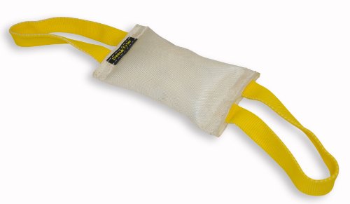 Dean and Tyler Small Bite Tug, Fire Hose, Size 8-Inch by 4-Inch