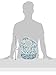 Bumkins Waterproof SuperBib, Seuss Cat in the Hat (6-24 Months)