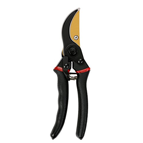 Vilapur 8 inch Professional Premium Bypass Pruning Shears Roses Clippers (TM-PSS-003),Hand Pruners, Garden Clippers Flower Trimming and Harvesting Scissors