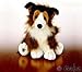 Webkinz Collie
