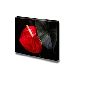 Canvas Prints Wall Art - Flamingo Flower, Boy Flower | Modern Wall Decor/Home Decoration Stretched Gallery Canvas Wrap Giclee Print. Ready to Hang - 12" x 18"
