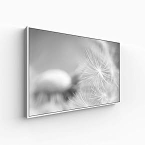 Canvas Wall Art for Living Room, Bedroom Monochrome Plants Framed Canvas Prints for Home Decoration Ready to Hang - 16x24 inches