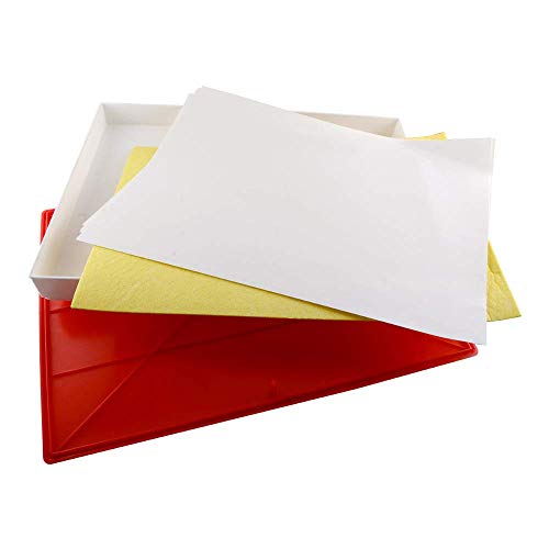 Masterson Sta-Wet Premier Palette airtight box