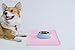SACRONS-Silicone Table mat, pet Bowl pad, Soft, Waterproof, Easy to Clean, to Prevent Food and Water Spilled on The Ground