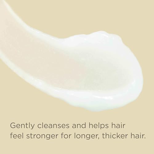 HAIRITAGE BIOTIN + CASTOR OIL SHAMPOO AND CONDITIONER SET – VOLUME + MOISTURE – SULFATE FREE + COLOR SAFE – WOMEN + MEN HYDRATING REPAIR SHAMPOO CONDITIONER