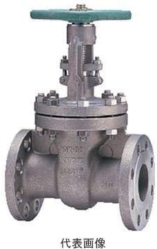 キッツ Kitz umam 15a 1 2インチ ゲートバルブ umam Ospacp Org Ar