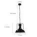 Pauwer Pendant Light Industrial Metal Barn Pendant Light with Dome/Bowl Shade Nautical Pendant light with Adjustable Chain