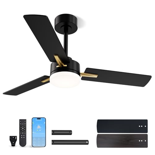 LANMEL Low Profile Ceiling Fan with Light