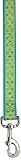 East Side Collection Nylon Polka Dot Dog Lead, 4-Feet, Parrot Green