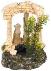 Amazing Animal Grecian Goddess 7"