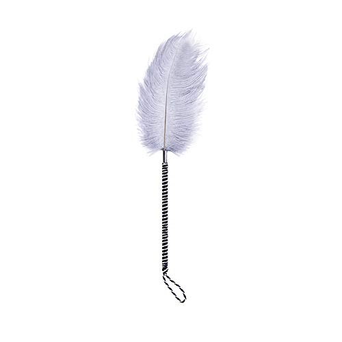 Overvl Flirt Tease Tickle Feather Stick for Adult Couples Game,White