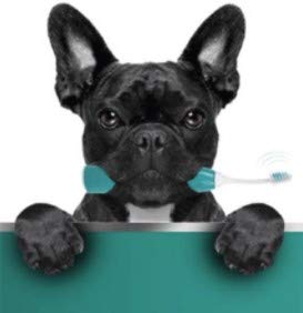 emmi pet ultrasonic toothbrush for dogs