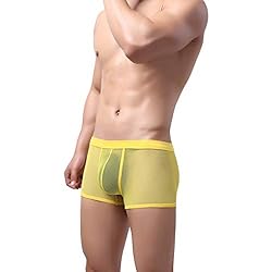 Laxier 2 Pack of Men Boxer Briefs Transparent