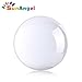 SunAngel Photo Crystal Ball,Optical Glass Spheres, K9 Crystal Sphere Ball, LensBall Crystal Photography Ball&Art Decor Crystal Orb(100MM with Stand)