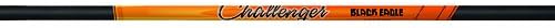 Black Eagle .001-Inch Tolerance Challenger Shafts (One Dozen)