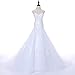 WeddingDazzle Applique Wedding Bridal Long Plus Size Wedding Dresses for Bride