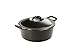 Lodge Pro-Logic 4 Quart Cast Iron Dutch Oven. Pre-Seasoned Pot with Self-Basting Lid and Easy Grip Handles primary