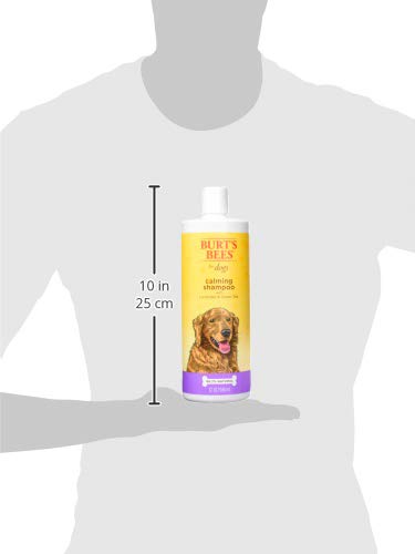 BURT’S BEES FOR PETS CALMING DOG SHAMPOO WITH LAVENDER AND GREEN TEA, 95% NATURAL ORIGIN FORMULAS, CALMING LAVENDER DOG SHAMPOO – GENTLE DOG SHAMPOO, BEST DOG SHAMPOO, LAVENDER, 32 OZ