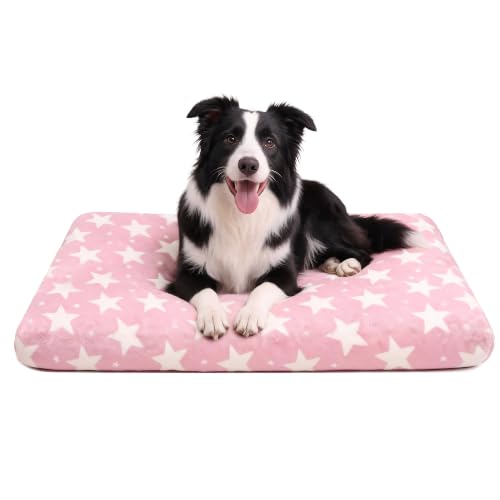 Orthopedic Dog Bed