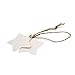 White Star Gift Tags,Blank Gift Tags with String,100 Pcs Kraft Paper Vintage Hang Tags With 100 Feet Natural Jute Twine