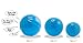 Pet Qwerks Talking Babble Ball - Interactive Chew Dog Toy - Medium