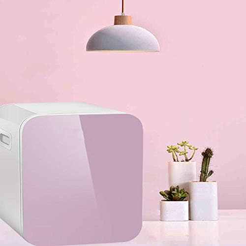 QianZhe Mini Refrigerator Table Top Fridge In Pink A Rated 10 Litre Refrigerator With Ice Box | Metal Back [Energy Class A ]