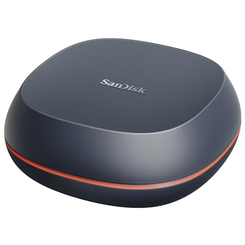 SanDisk Desk Drive SSD