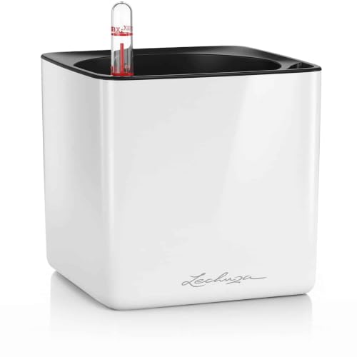 LECHUZA Self Watering Plant Pots Indoor CUBE Glossy 16 Small Plastic Planter without Drainage Hole H16 L16 W16 cm White High-Gloss