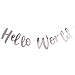 Ginger Ray Rose Gold Hello World Scripted Baby Shower Bunting Banner - Hello World