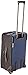 Victorinox Werks Traveler 5.0 WT Softside Upright Luggage, Navy Blue, Carry-On (22