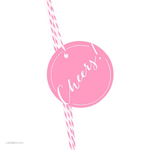 Andaz Press Circle Gift Tags, Whimsical Style, Cheers!, Pink, 24-Pack