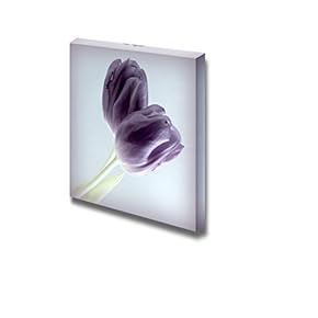 Canvas Prints Wall Art - 2 Purple Tulips | Modern Wall Decor/Home Decoration Stretched Gallery Canvas Wrap Giclee Print. Ready to Hang - 12" x 12"