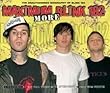 The Unauthorized Biography Of Blink 182