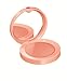 Bourjois Blush Cream for Women, 01 Nude Velvet, 0.08 Ounce