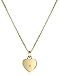 Michael Kors Tone Logo Heart Pendant Necklace