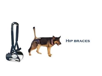 dog hip brace amazon