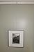 Picture Rail Hooks Silver Finish - 25 Pack - Picture Rail Hangers - Wide Molding Hooks