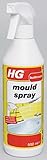 Hg Hagesan Mould Spray 500Ml