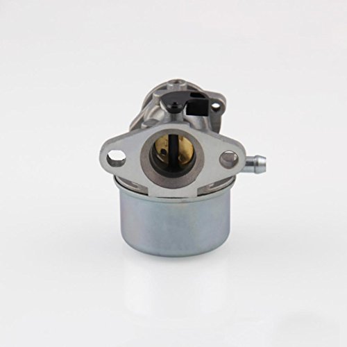 Ecosin Carburetor for BRIGGS & STRATTON 799868 498254 497347 497314 498170 Carb 50-657