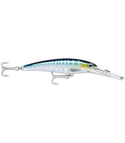 Amazon.com : Rapala X-Rap Magnum 30 Fishing Lure, Blue
