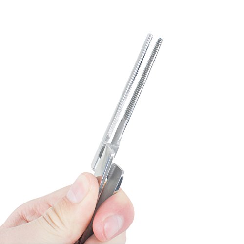 Dental Articulating Paper Holder Articulating Paper Holding Forceps Tweezers Straight