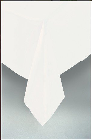 Plastic Rectangular Table Cloth 54 x 108, White by Jed Home