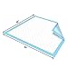 Nurture Ultra Absortbent Disposable Underpads 40 Count - 36 x 36