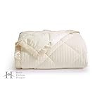 Home Fashion Designs Romana Collection Luxury Goose Down Alternative Quilted Blanket By Brand (Full/Queen, Ivory)