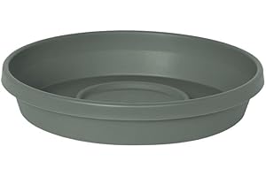 Bloem Terra Resin Saucer Tray: 15" Bottom Width - Basil Green - Matte, Durable, Ribbed Bottom, Indoor and Outdoor, Fits 20" Terra Pots
