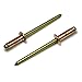 Copper Pop Rivets 1/8 Diameter Brass Mandrel Blind Rivets Dome Head 4-4 (1/8