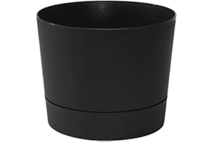 Root & Vessel Majestic Mid-Century Modern Low Profile Cylinder Pot, Matte Black, 8.5"